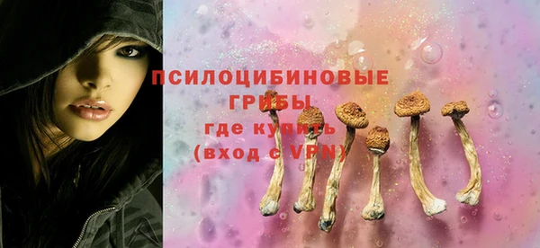 MESCALINE Няндома