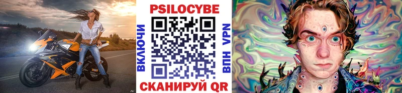 цена наркотик  Севск  Псилоцибиновые грибы Psilocybine cubensis 